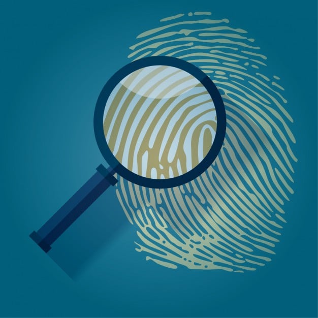 Investigações internas nas empresas nacionais
