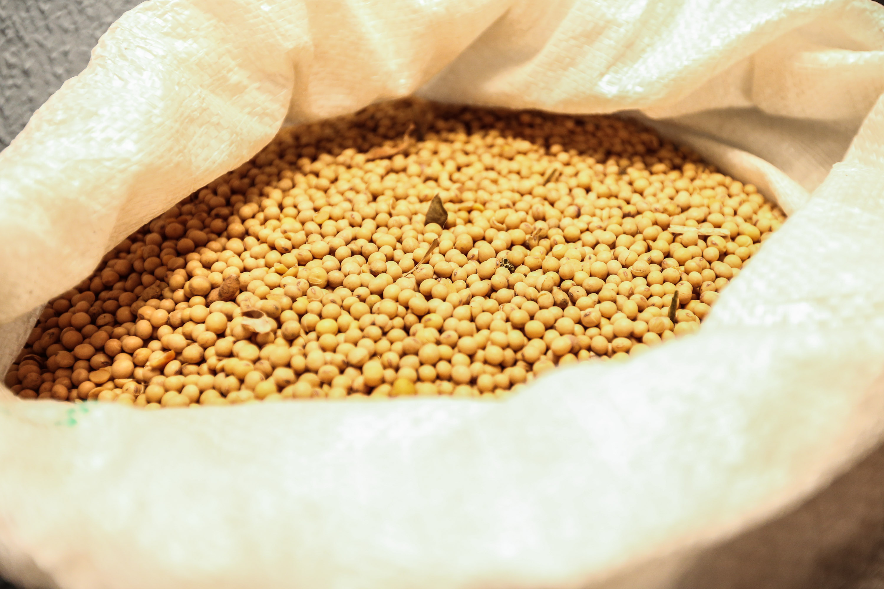 Exportação do agronegócio rende menos e importação de insumos onera mais
