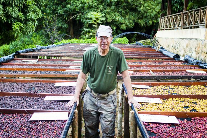 A floresta é o ingrediente de renovação do café brasileiro