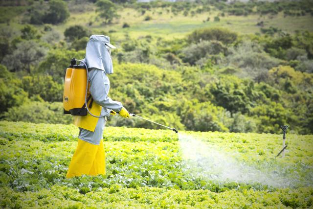 Maior presença de mulheres no campo influencia no desenvolvimento de tecnologias