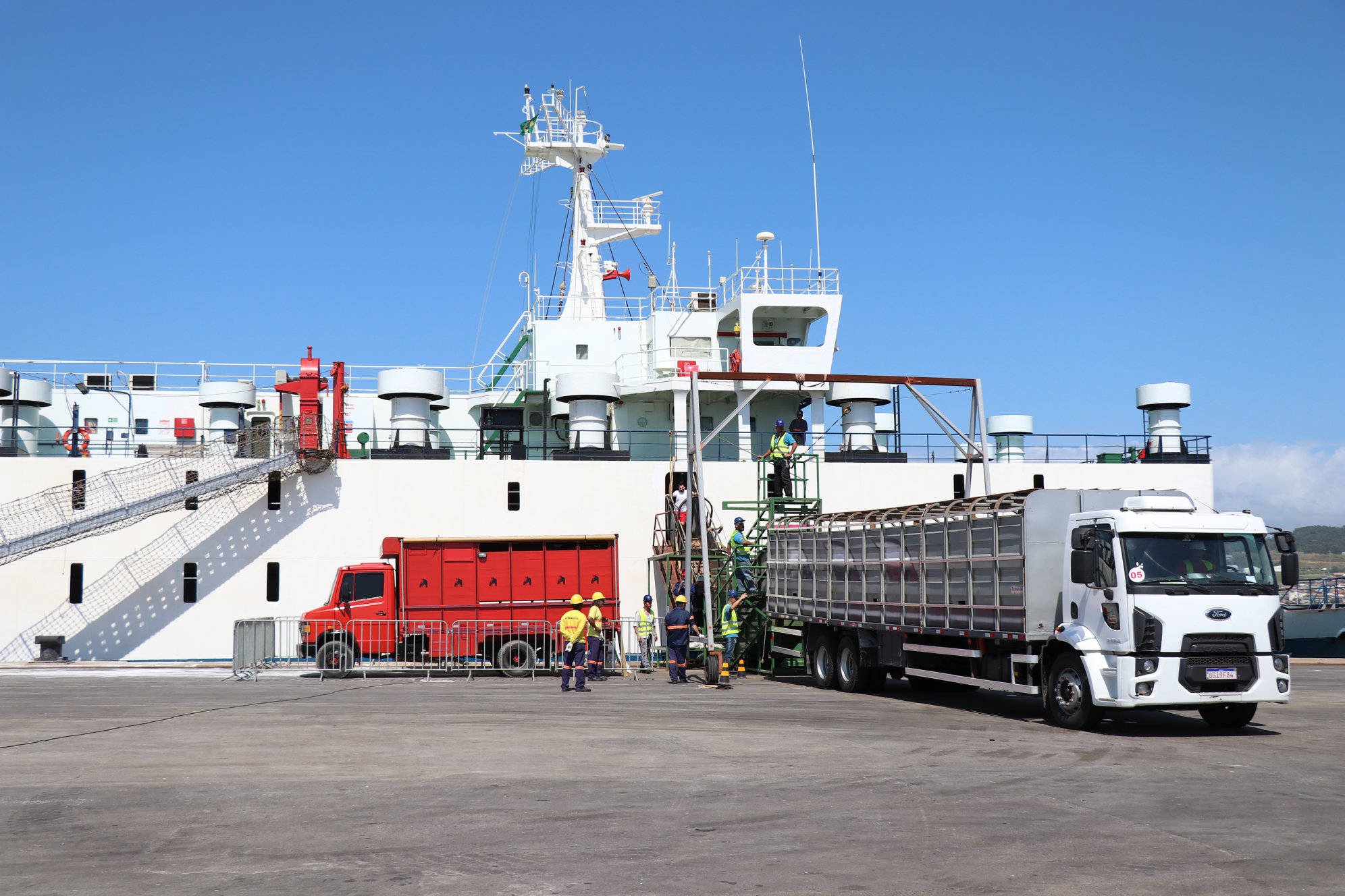 Embarque de gado vivo é realizado pelo Porto de Imbituba