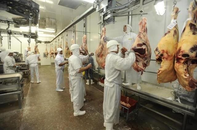 Exportação de carne suína cresce 38,4% em outubro e gera receita de US$ 149,6 milhoes