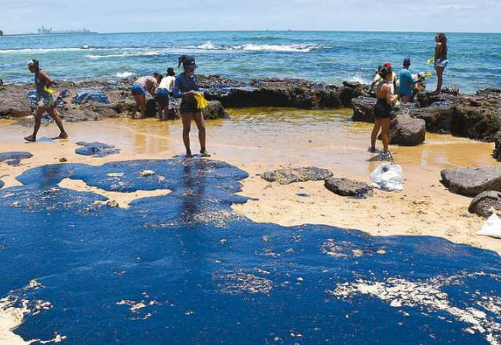 Após vazamento de óleo, litoral da Bahia perde 66% de invertebrados