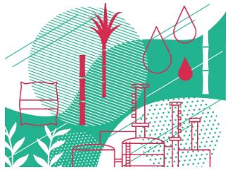 Bioenergia: Copersucar