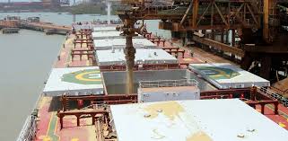 Maranhão na vanguarda da agricultura sustentável