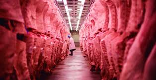 Exportadores aguardam novas habilitações de frigoríficos pela China