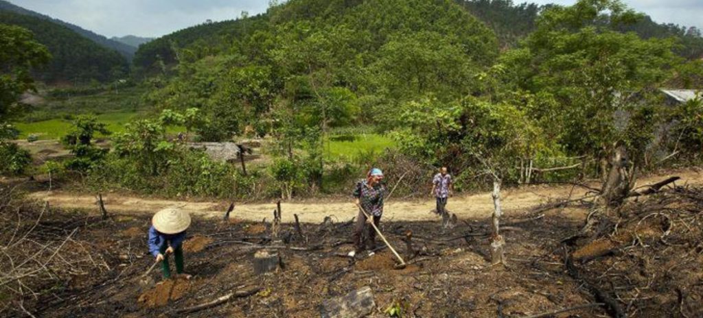 Acúmulo de gases do efeito estufa bate recorde