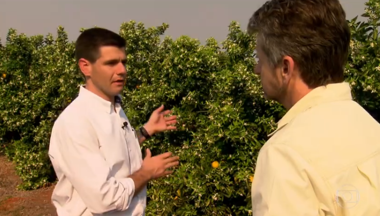 Produtores de laranja superam principal doença da atividade e alcançam maior produtividade da história