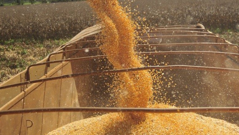 Exportações em 2019 superam expectativa da Anec 