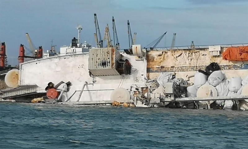Navio com mais de 14 mil ovelhas naufraga na Romênia