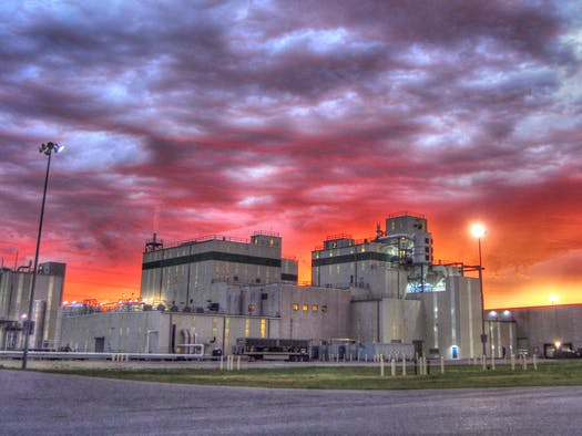 Cargill e DSM aumentam produção de novo substituto do açúcar