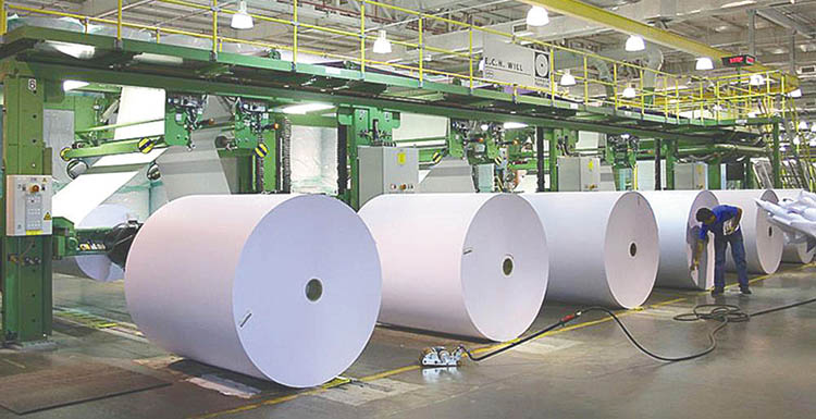 Produção de celulose cai e preço inicia reação