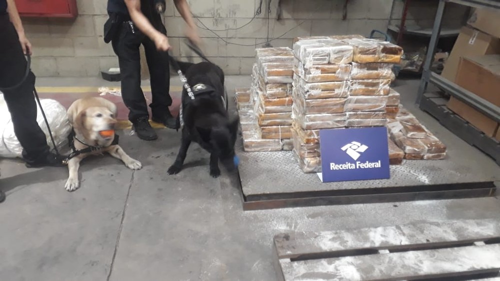 Receita Federal localiza mais de 340 kg de cocaína em carga de açúcar no Porto de Santos