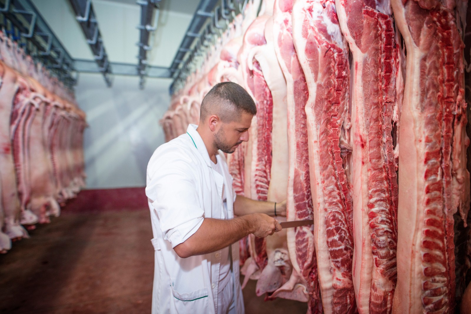 Arábia Saudita habilita 8 novos frigoríficos para exportação de carne bovina