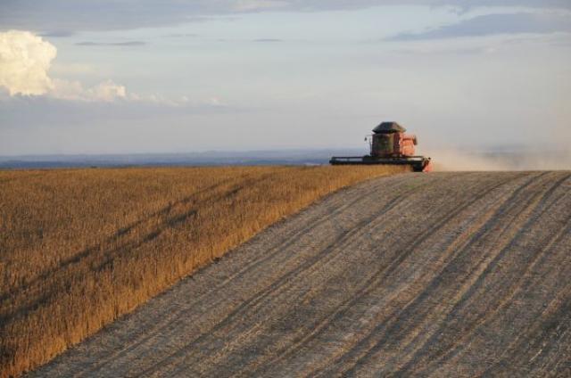 Brasil aumenta capacidade de processamento de soja