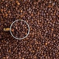 Brasil exporta 3,1 milhões de sacas de café em novembro
