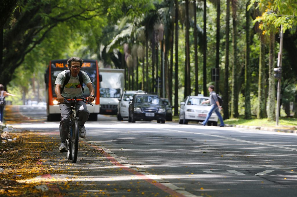 USP é a 18ª universidade mais sustentável do mundo