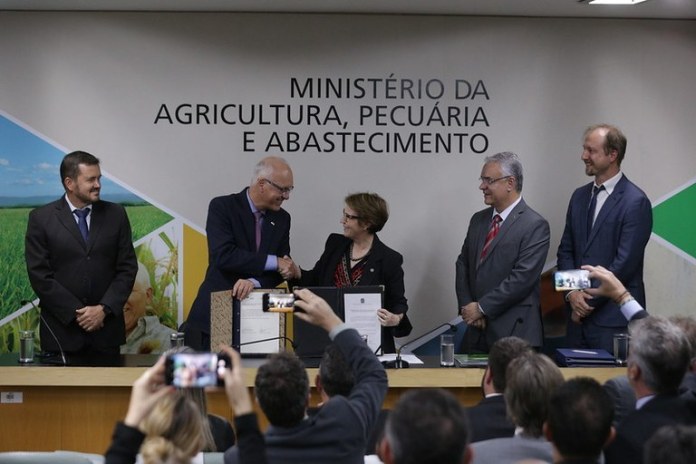 Em defesa da floresta, projeto vai levar inovação e sustentabilidade a produtores da Amazônia Legal