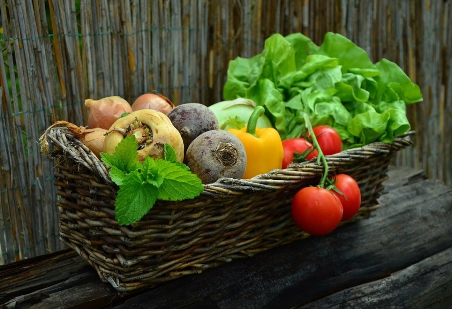 Novas regras para a classificação de produtos vegetais importados