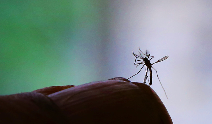 Brasil e OMS discutem estratégias para controle de epidemias e eliminação de doenças