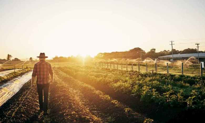 Estudo mostra que agricultura mais resiliente e sustentável precisa ser expandida