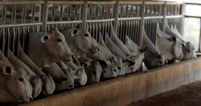 Rússia restringe importações de sete plantas de carne bovina de Argentina e Paraguai