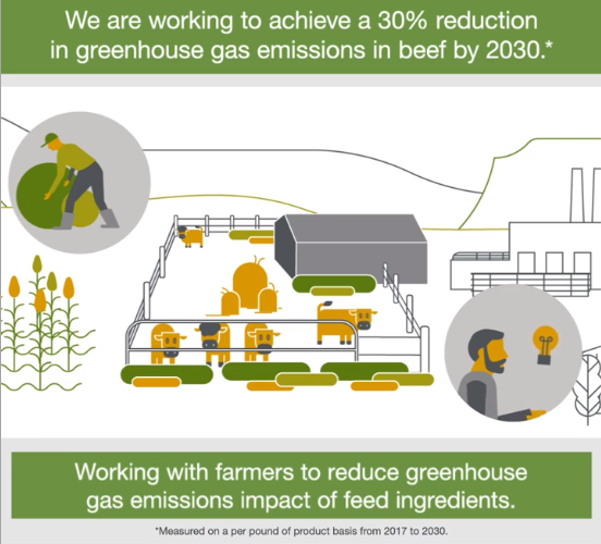 Saiba como a Cargill trabalha para tornar a carne bovina mais sustentável e reduzir as emissões de gases de efeito estufa em sua cadeia de fornecimento de carne bovina