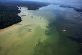 Brasileiros vendem água feita com umidade do ar da Amazônia por 70 euros