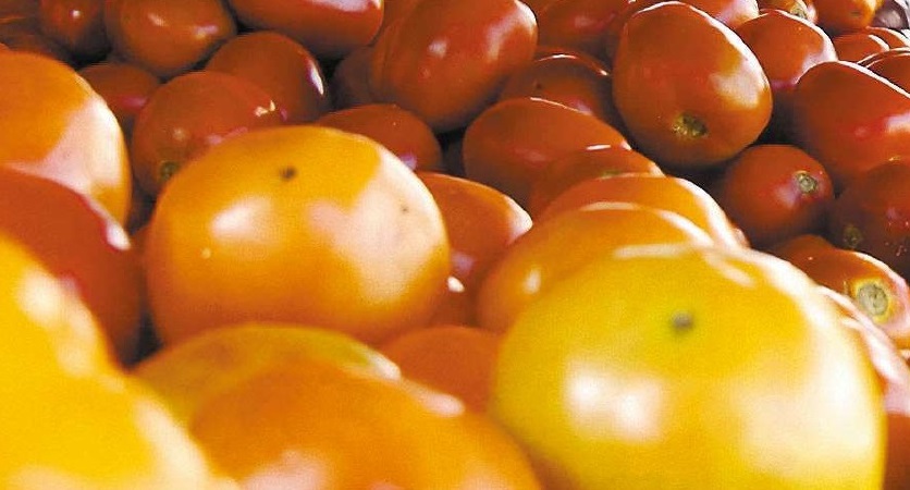 Anvisa encontra agrotóxicos acima do permitido