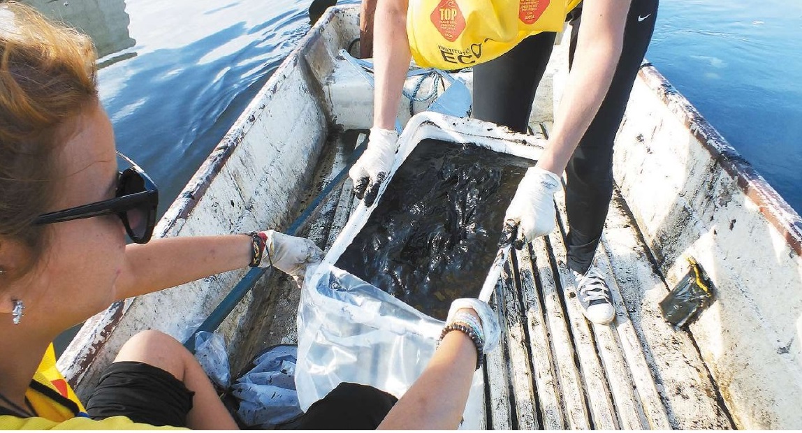 Estudo põe estuário em alerta