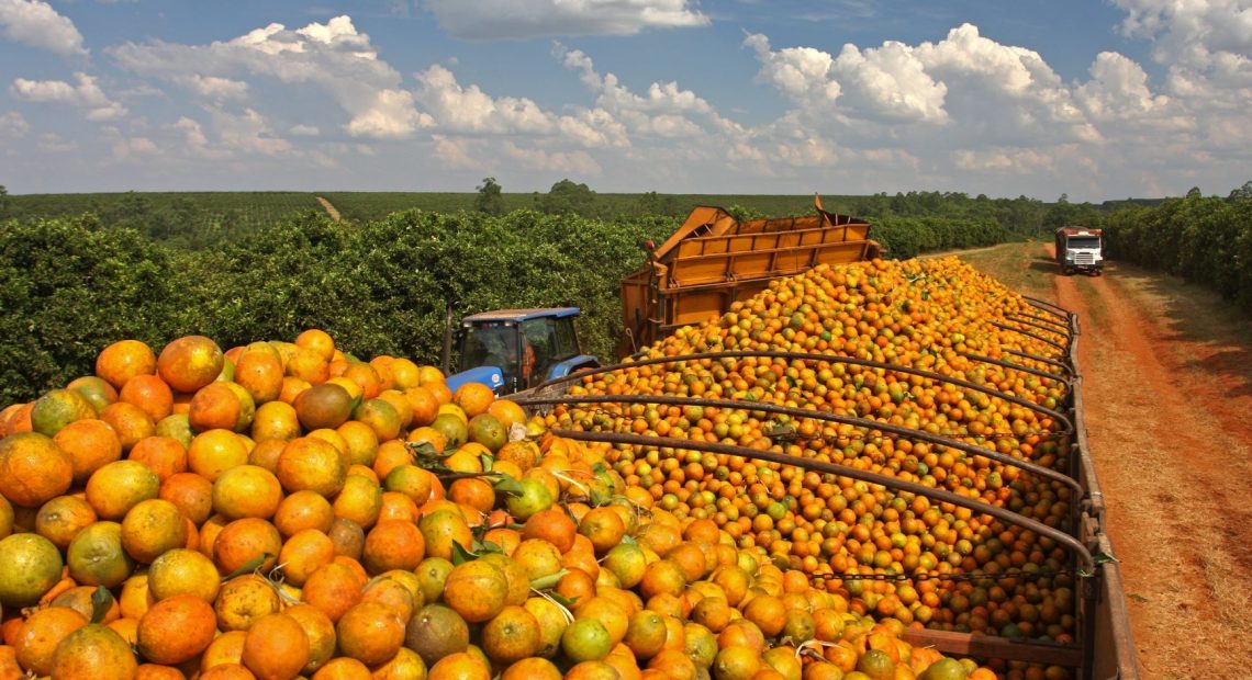 Exportação brasileira de suco de laranja cresce 54%