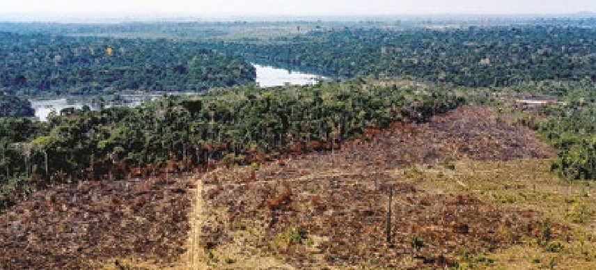 Desmatamento na Amazônia cresce 104%