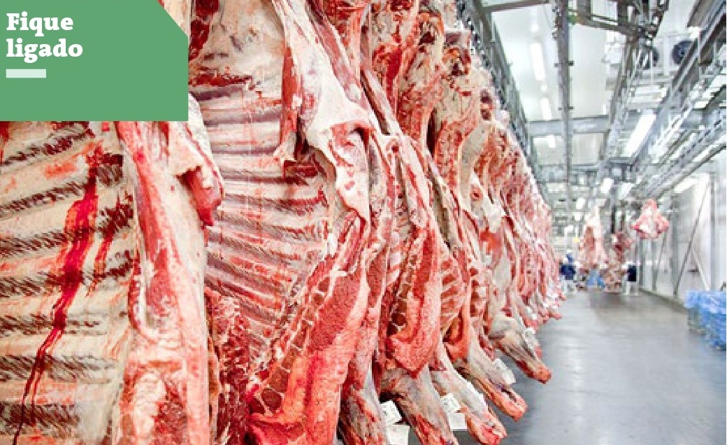 Exportações de carne podem fechar 2019 com recorde