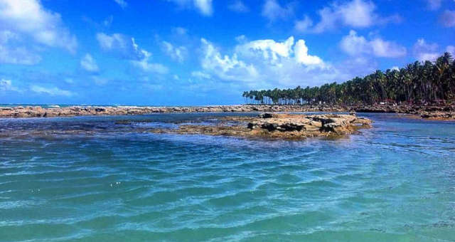 Chile defende importância dos oceanos na COP25