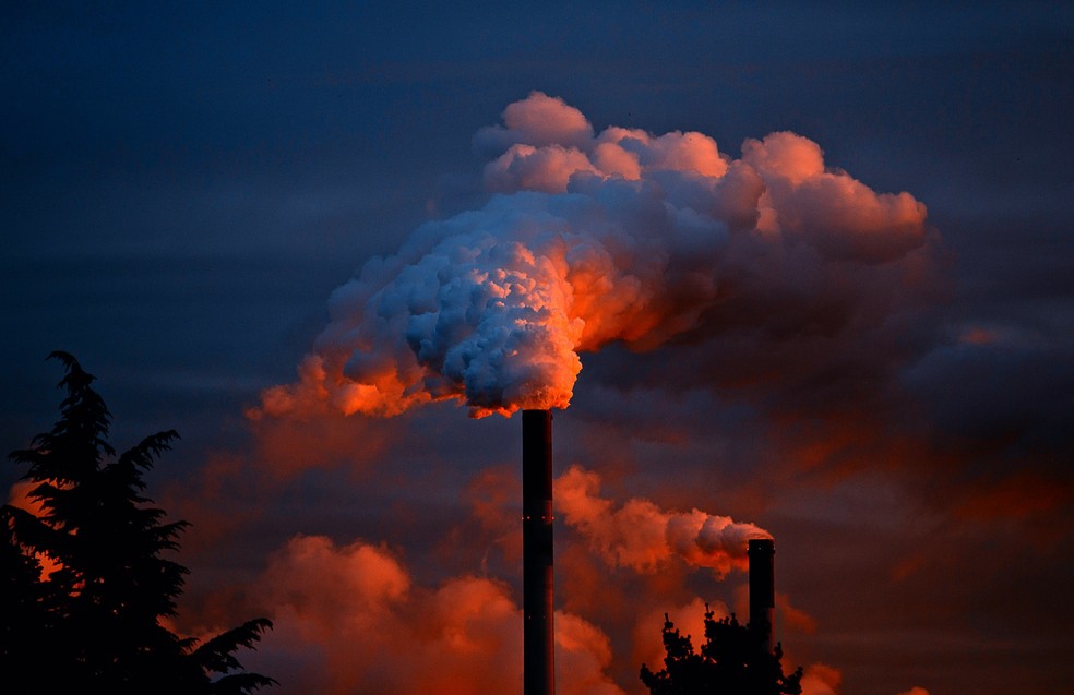 Emissão de CO2 será neutralizada até 2050