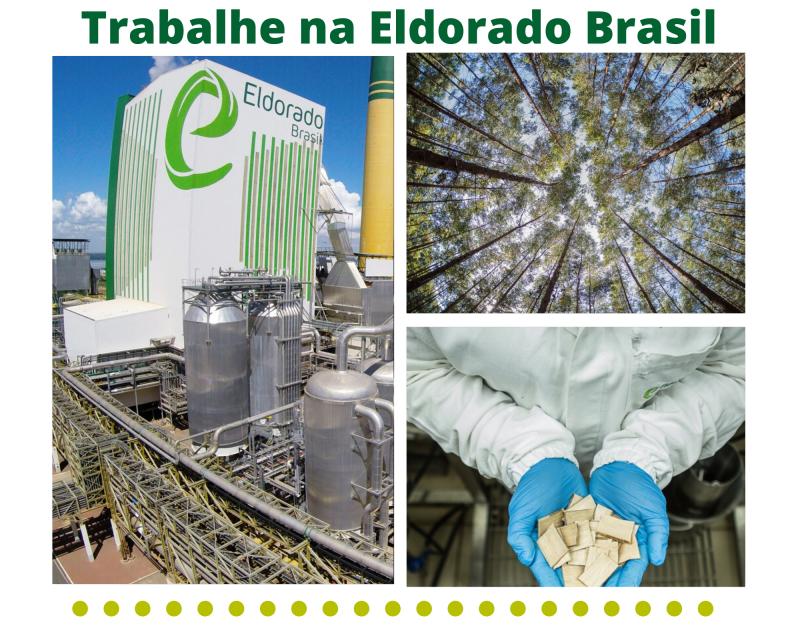 Eldorado Brasil está com diversas vagas disponíveis