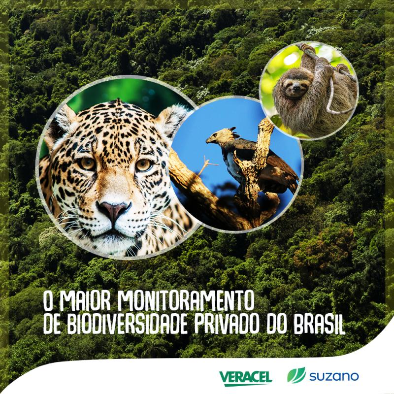 Suzano se reúne à Veracel Celulose S/A para o maior monitoramento de biodiversidade privado do Brasil