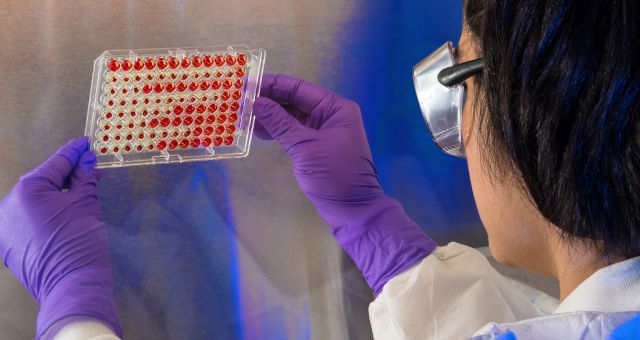 Coronavírus mata 132 pessoas na China e infecta 6 mil no mundo 
