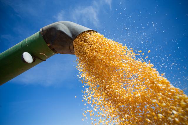 Setor agropecuário goiano exporta mais de cinco bilhões de dólares em 2019