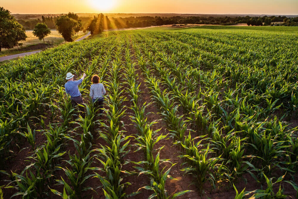 País depende bem mais do agronegócio