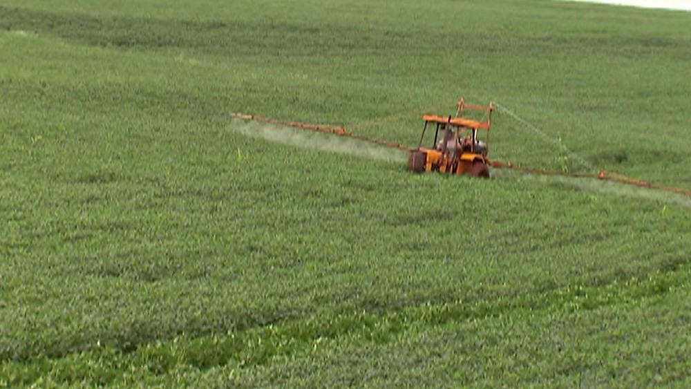Número de agrotóxicos registrados em 2019 é o maior da série histórica; 94,5% são genéricos, diz governo