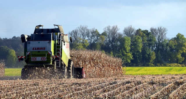 Conab eleva projeção para produção de soja, milho e algodão do Brasil em 2019/20
