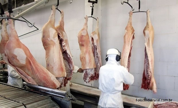 Apetite dos chineses faz carne suína brasileira bater recorde de exportação: US$ 1,597 bilhão em 2019