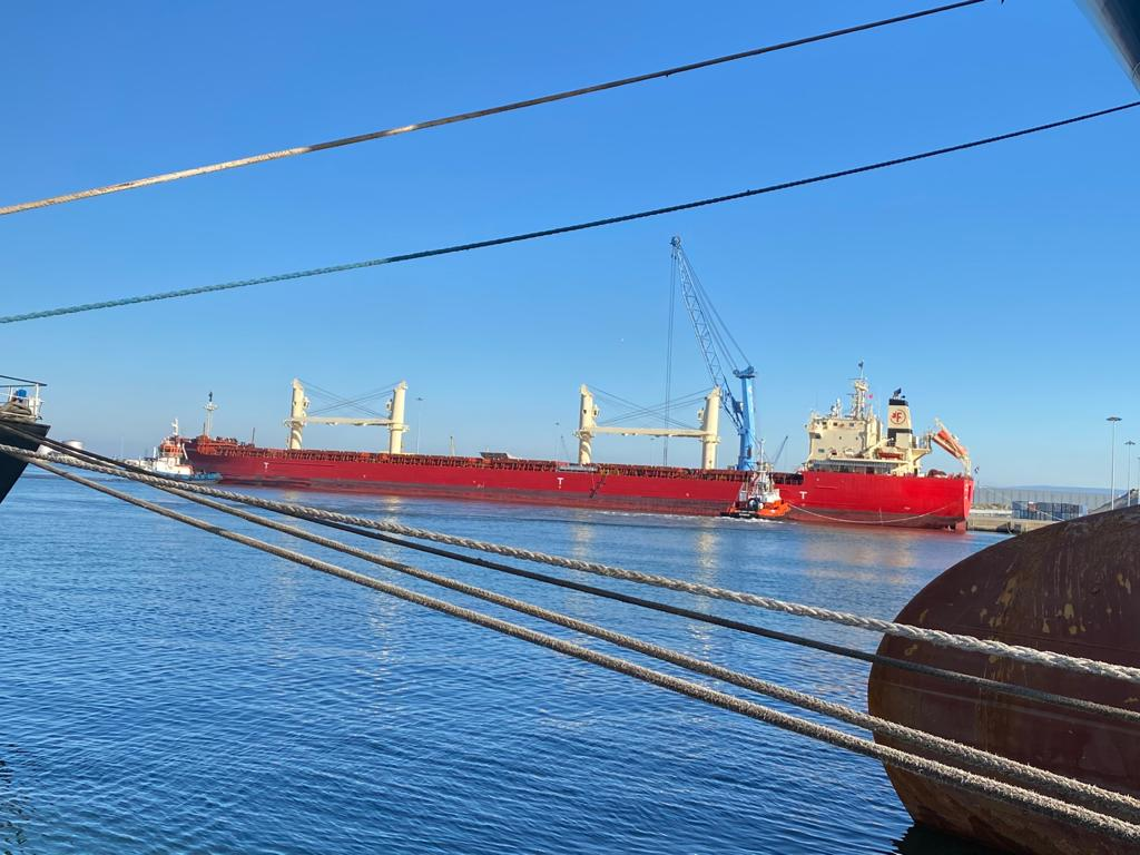 Federal Montreal bate recorde de comprimento total no Porto de Aveiro