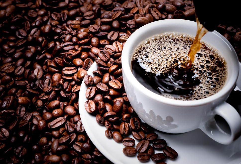 Colheita de café pode bater recorde no país