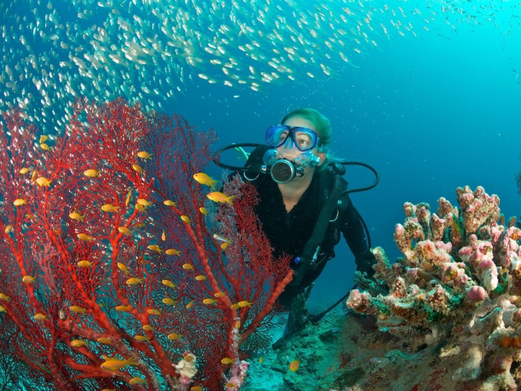 Concurso da ONU busca inovações que combatam poluição nos oceanos