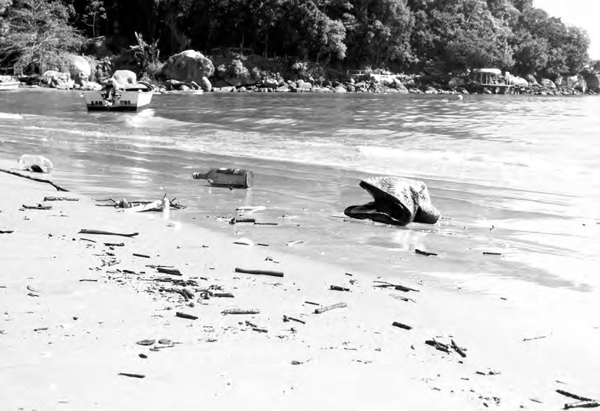 Ação analisa hábitos de praia que podem reduzir poluição