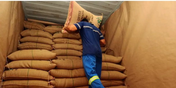 Porto de Santos exporta mais de 2,6 milhões de sacas de café em janeiro