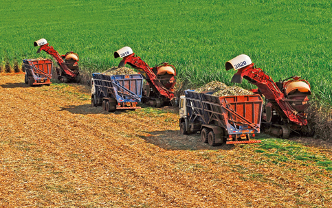 Dispara a venda antecipada de açúcar da safra 2020/21