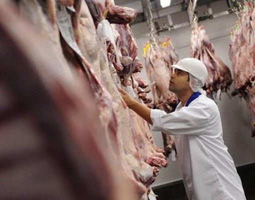 Exportações de carne brasileira ficam imunes ao coronavírus em fevereiro